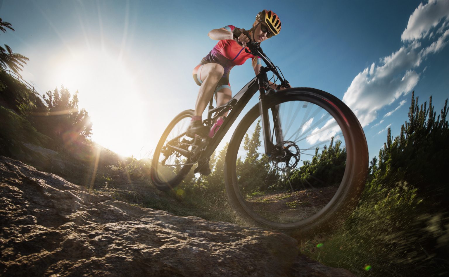 Caracteristicas de mountain discount bike